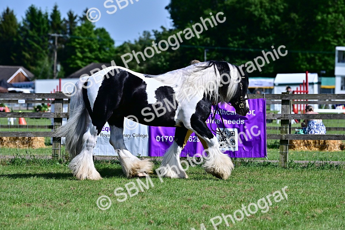 SBM_09467