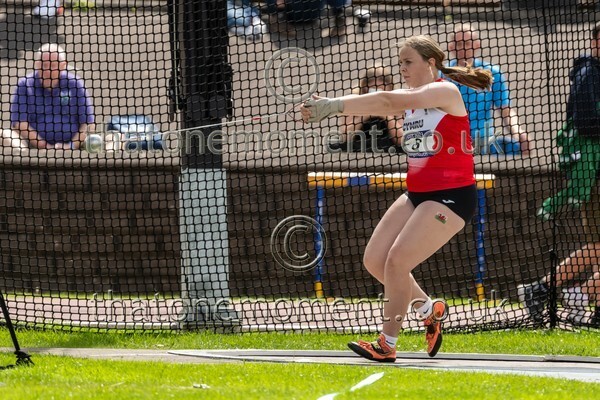 SIAB23-913051 - Field Female Set One