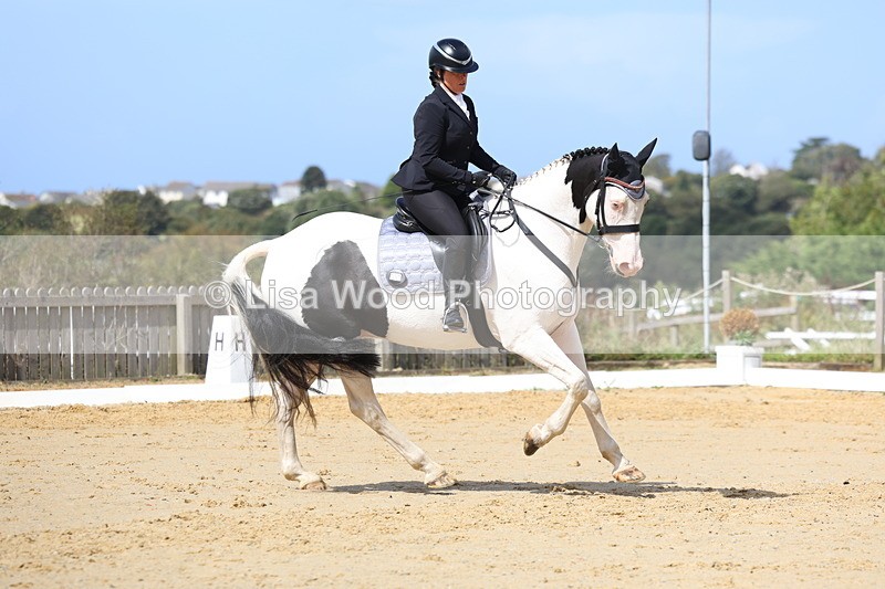 3E7A4081 - Class 9: Novice 6 Section B Championship