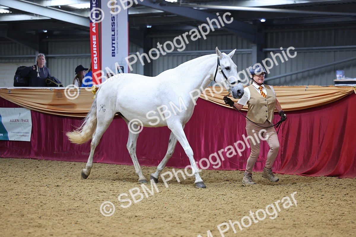 SBM_22625 - Class 903 - Supreme Final - IH Pre Vet