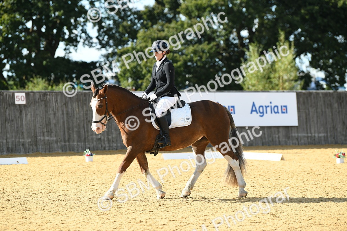 SBM_27089 - D16 - Small Tour Championship - Novice 28
