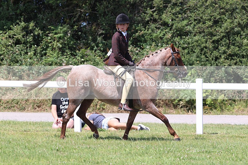 JPP_2737 - Class 21: Working Hunter 60cm