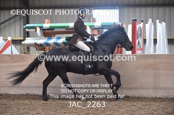 JAC_2263 - CLASS 2 Novice Working Hunter