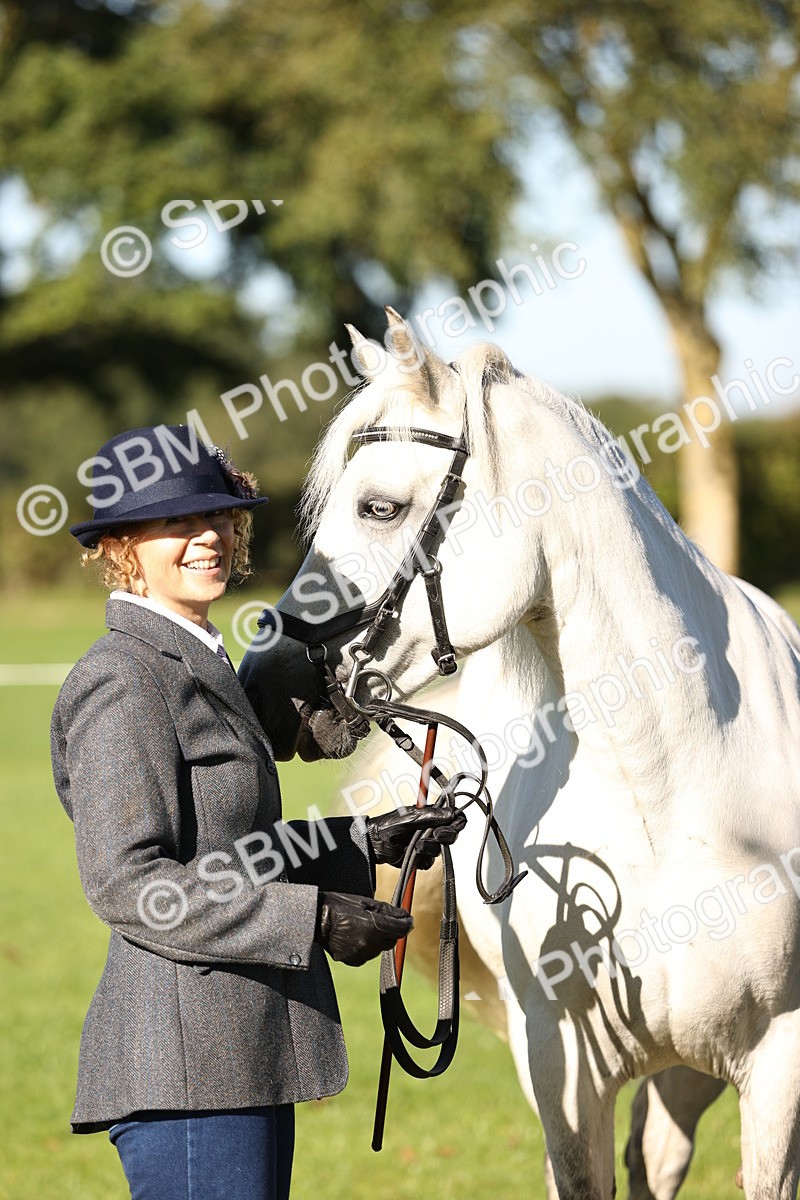 SBM_15884 - S1 - TSR in Hand Horse & Pony Showing