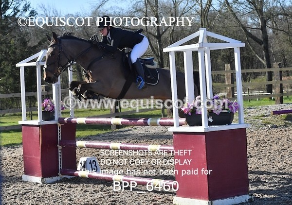 BPP_6460 - CLASS 10 SUN Newcomers/ 1m Open