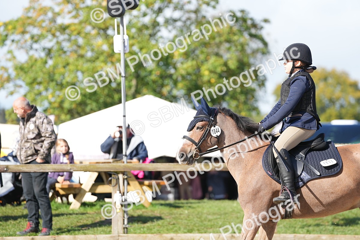 SBM_38325 - J6 - Junior Pony 55cm Championship