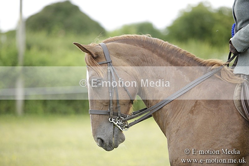 BVR160717-1352 - Ring 1 BVRC Show 16/07/17