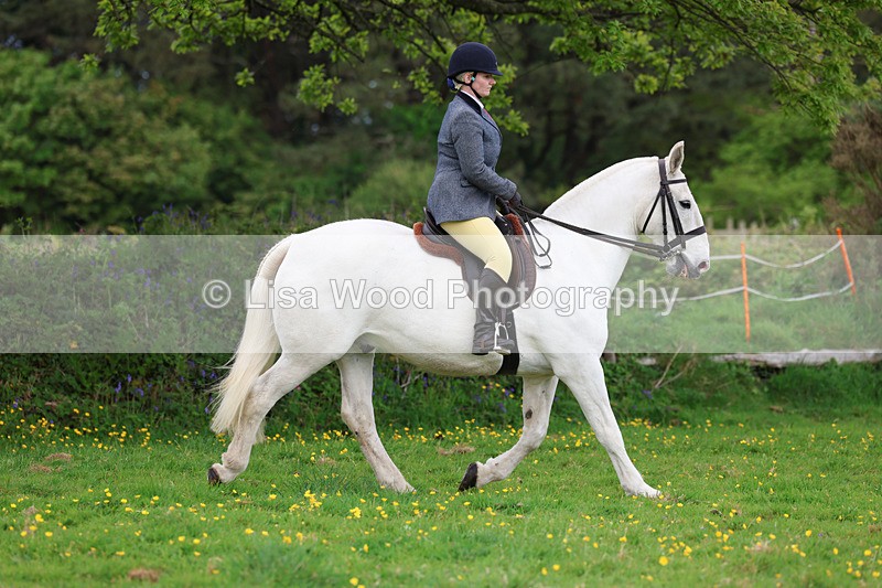 3E7A1108 - Class 7: Ridden Hunter Type
