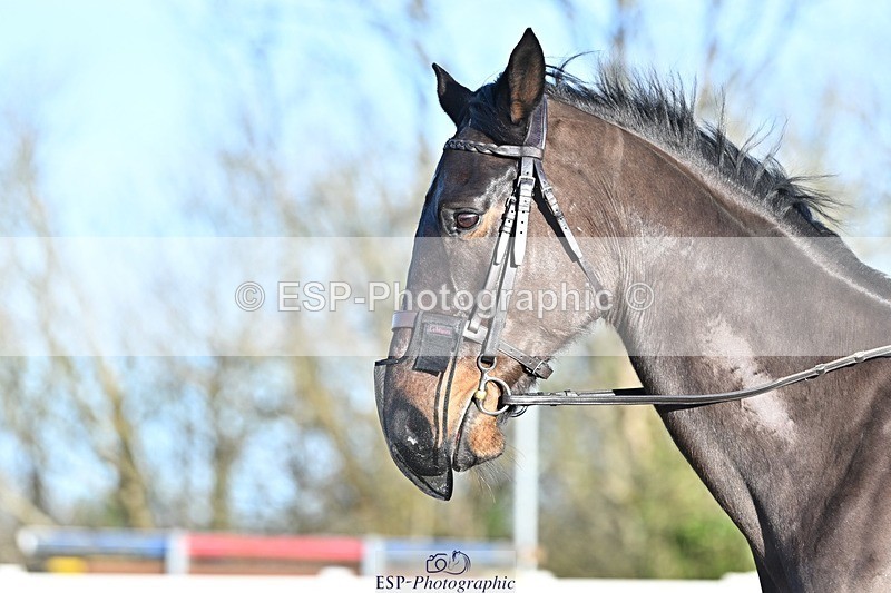 250125-094242-00089 - Dressage - CT Class 3 BE92