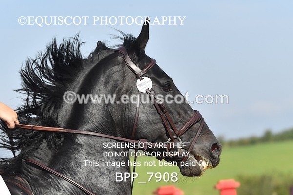 BPP_7908 - CLASS 3 Senior BritiNovice/ 90cm Open
