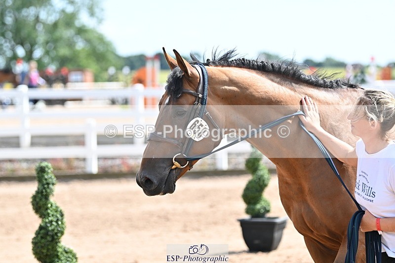 240717A-152023-02766 - Trot Up 3pm to 4pm