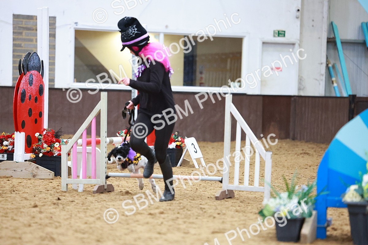 SBM_001570 - Class 3 - Horse & Hound (60cm)