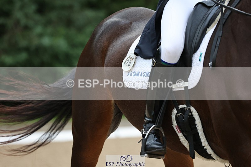 241024-090559-01212 - 202-Toots.Bartlett-C.WHY