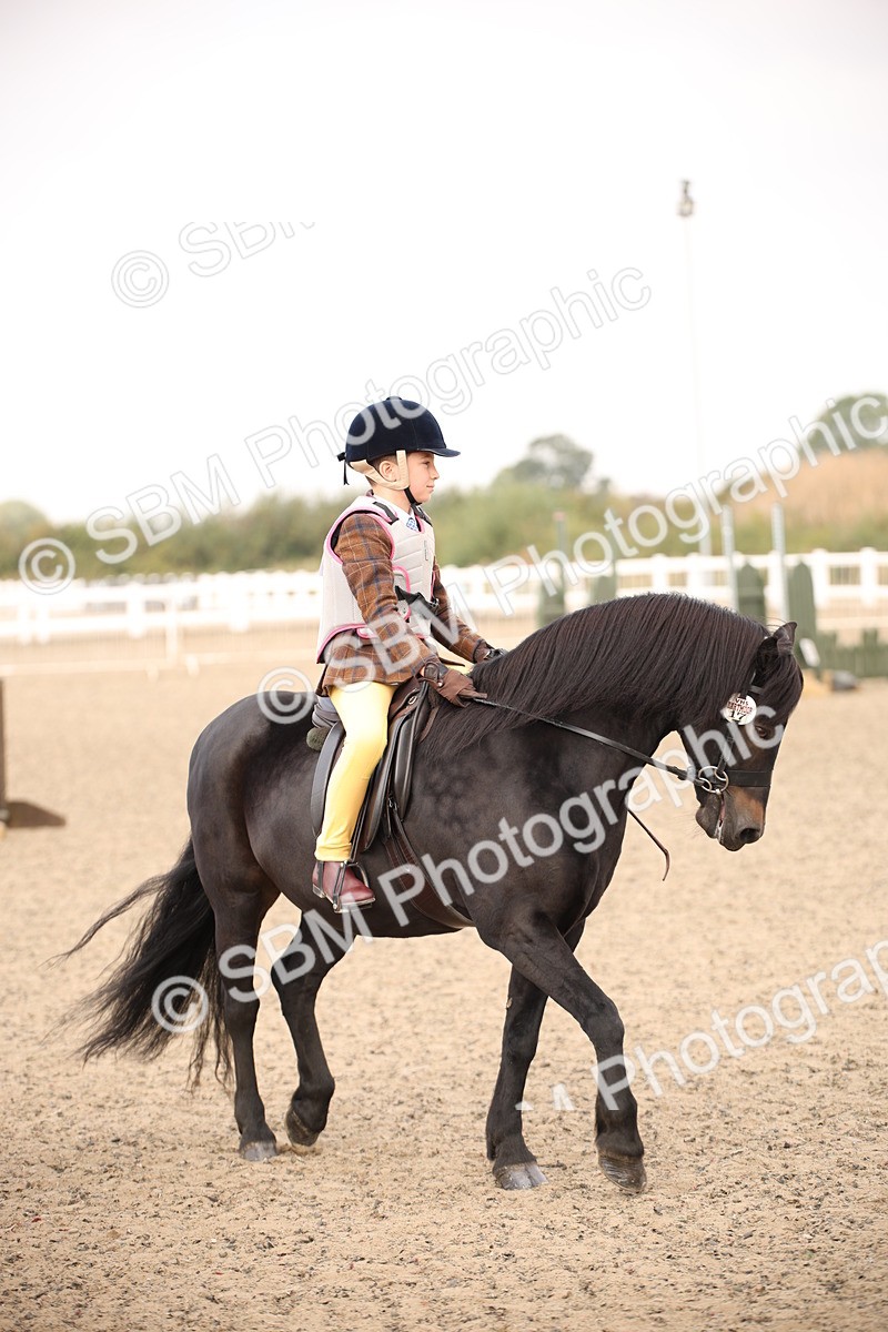 SBM_11717 - Class 404a Junior Working Veteran- 40cm (15-19)