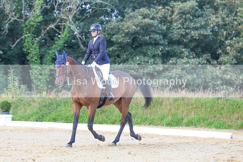 3E7A2514 - Class 1: Intro 4 2024 section A