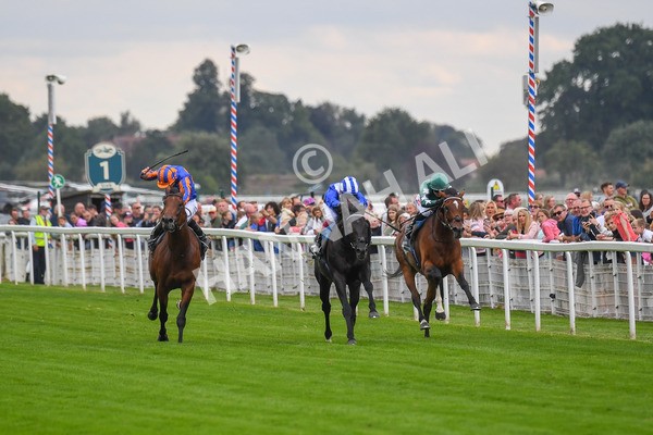 230823-Race 4-Mostahdaf-0558 - Race 4 3.35pm Juddmonte International Stakes
