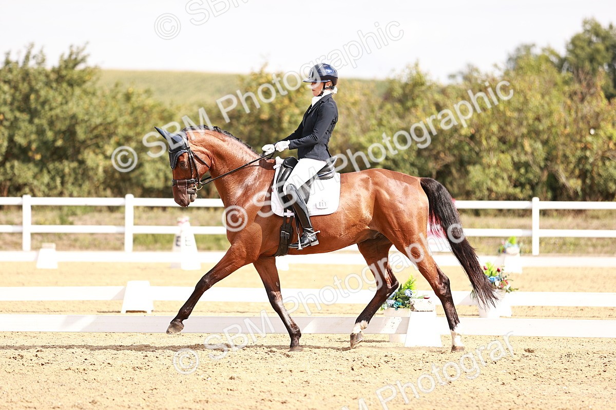 SBM_017647 - Class 11 - Advanced Medium 6