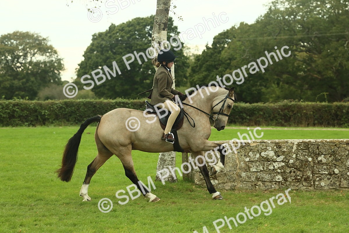 SBM_73938 - S 61 - Show Pony & Show Hunter Pony Ridden