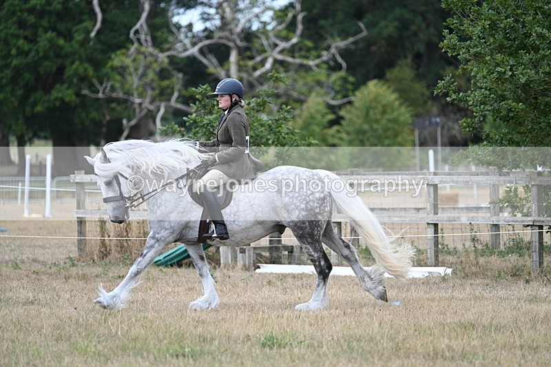 WJ7_5138 - Class 12 Ridden Cob
