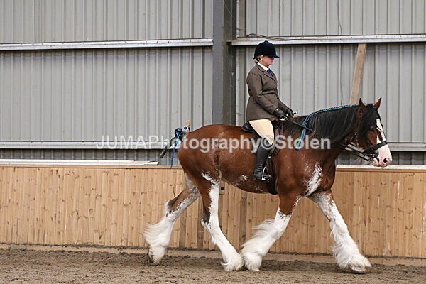 SIAL2231 - Sunday 14th Ridden