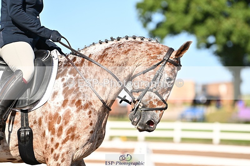 240816A-165817-06314 - 164-Emma.jane.Brown-JUBILEE.HARVEST