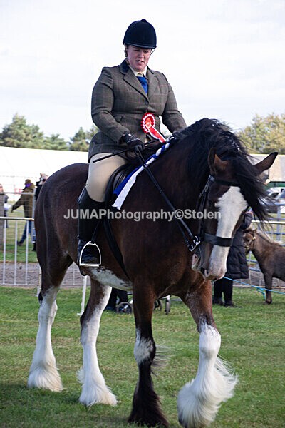 DSC_0262 - Ring 1