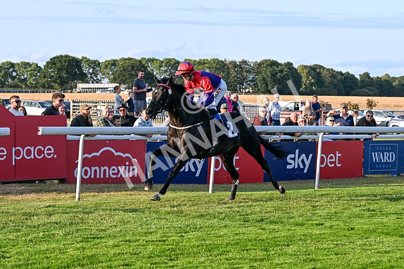 200726-Race 3-It Just Takes Time-6798 - Race 3 19.30pm Skybet Go-Racing-In-Yorkshire Summer Festival Handicap