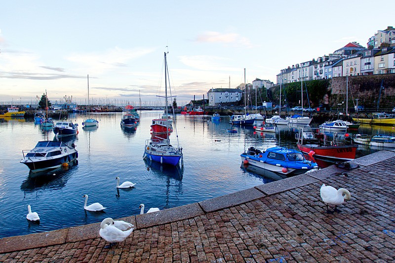 Early morning Brixham Harbour - Brixham and Broadsands