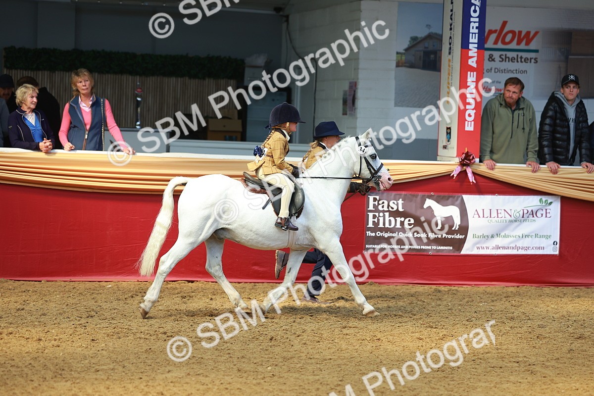 SBM_12748 - HOYS Veteran Qualifier - Ridden Champ
