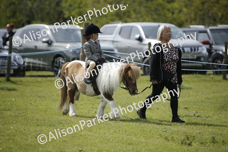 20260426-1860 - Class 7 - Pony Judge Would Most Like To Take Home