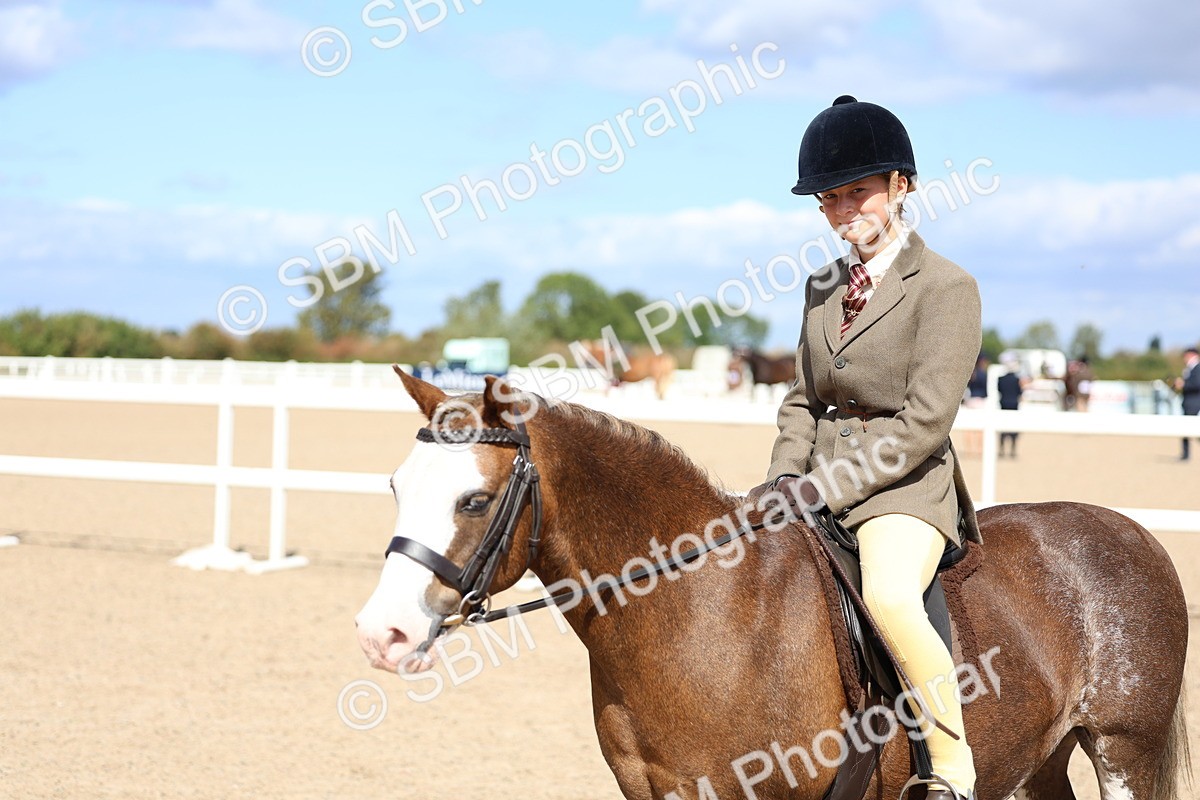 SBM_13311 - Class 311 - Ridden Show Pony Show Hunter Pony