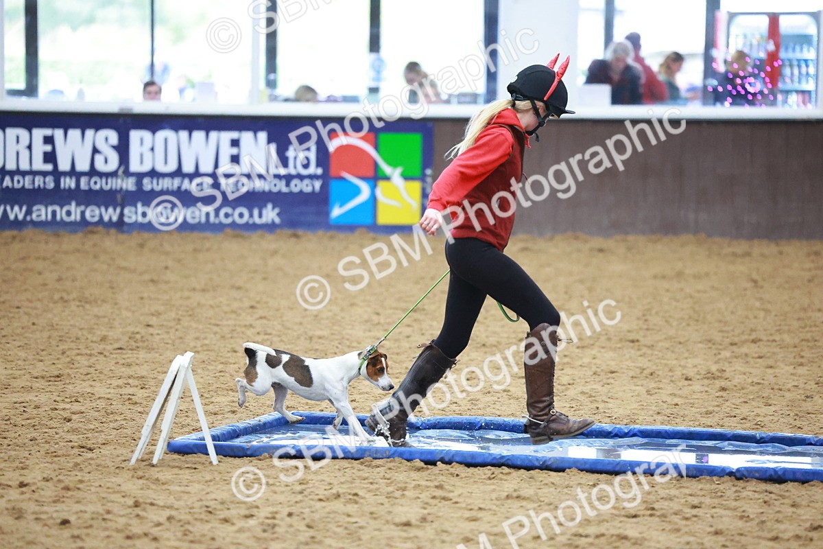 SBM_002123 - Class 3 - Horse & Hound (60cm)