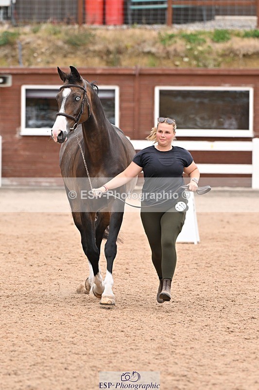 250716-144724-01394 - Trot Up 2.30 to 3.30