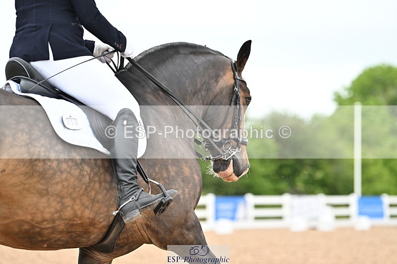 240623A-151515-19525 - Cls 51 BD Elementary 53