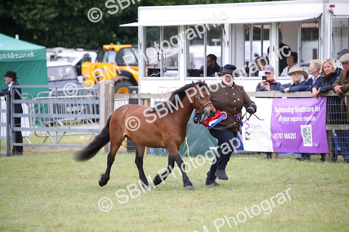 SBM_09739 - Ch 50 - Price Family Supreme In Hand