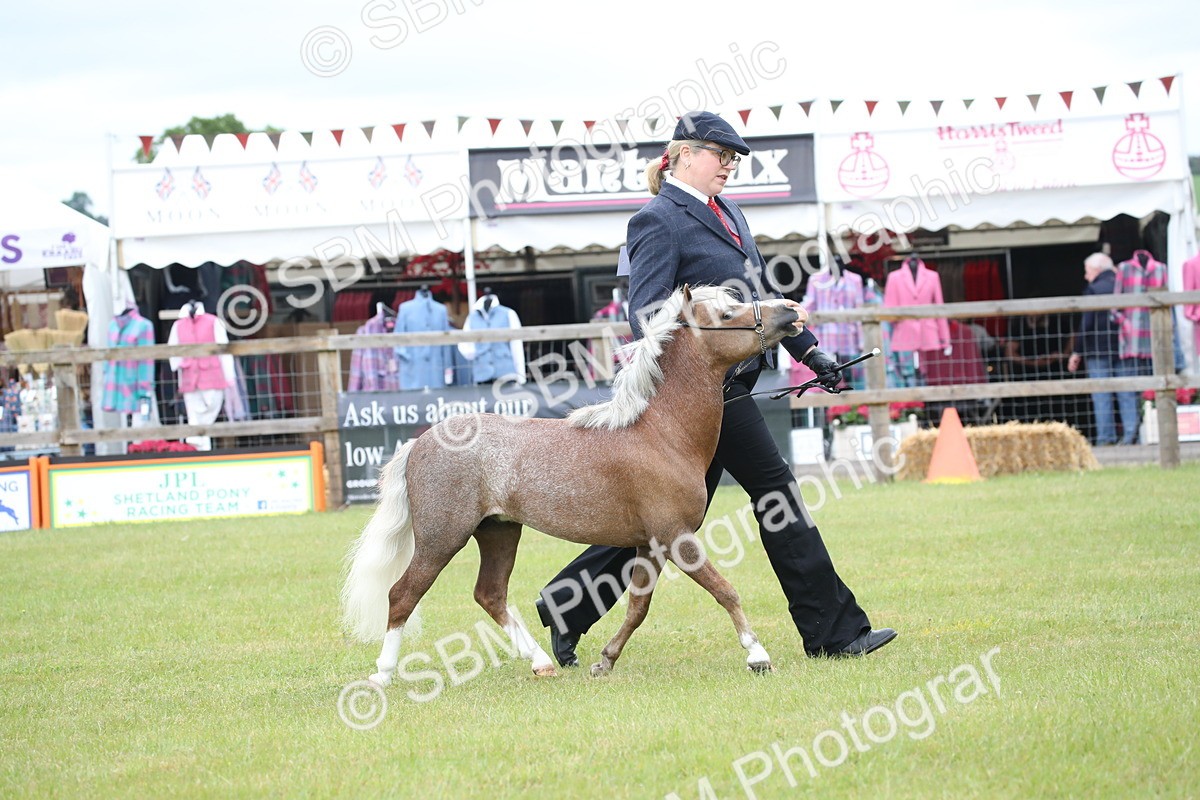 SBM_03750 - Class 23-25 - British Miniature Horse of the Year