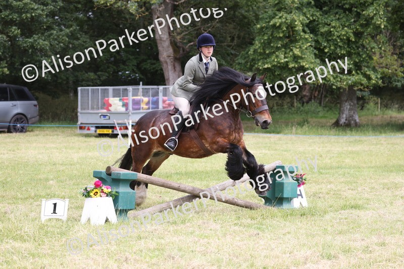 20260614-2919 - Class 22 - Open Working Hunter