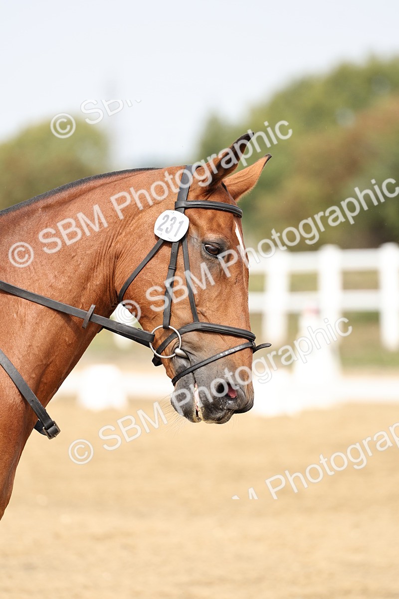 SBM_012460 - Class 2 - Prelim 5