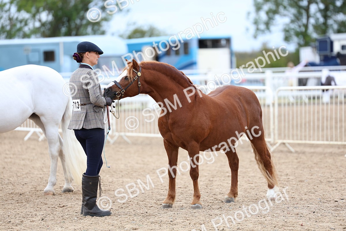 SBM_05858 - Class 29 - IH Veteran Pony