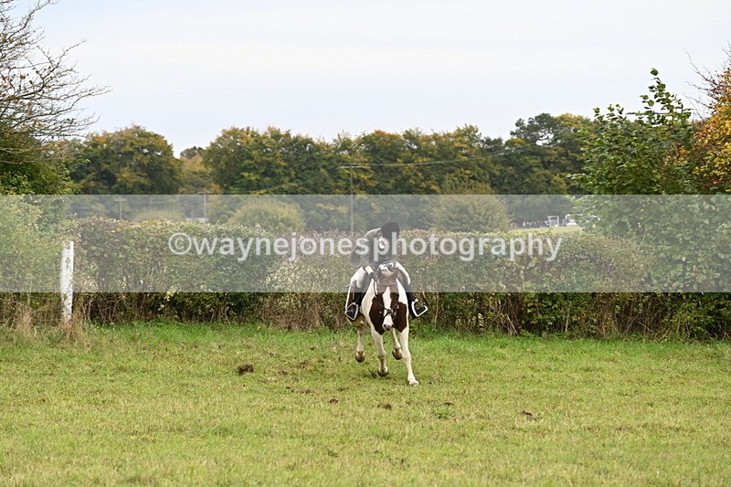 WJ6_1535 - Camera 2 Line 3