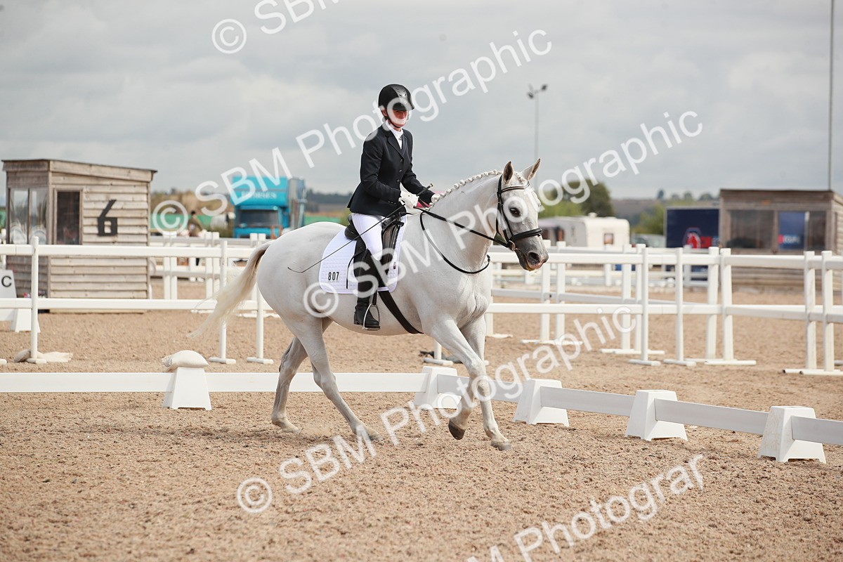 SBM_03900 - Class 31 - Prelim 1