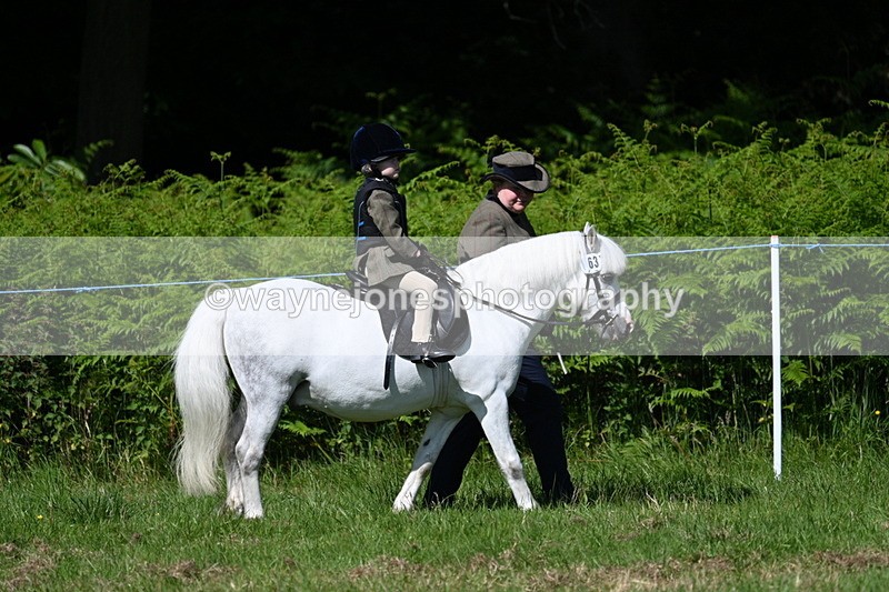 WJ7_0680 - Class 8 First Rally Pony