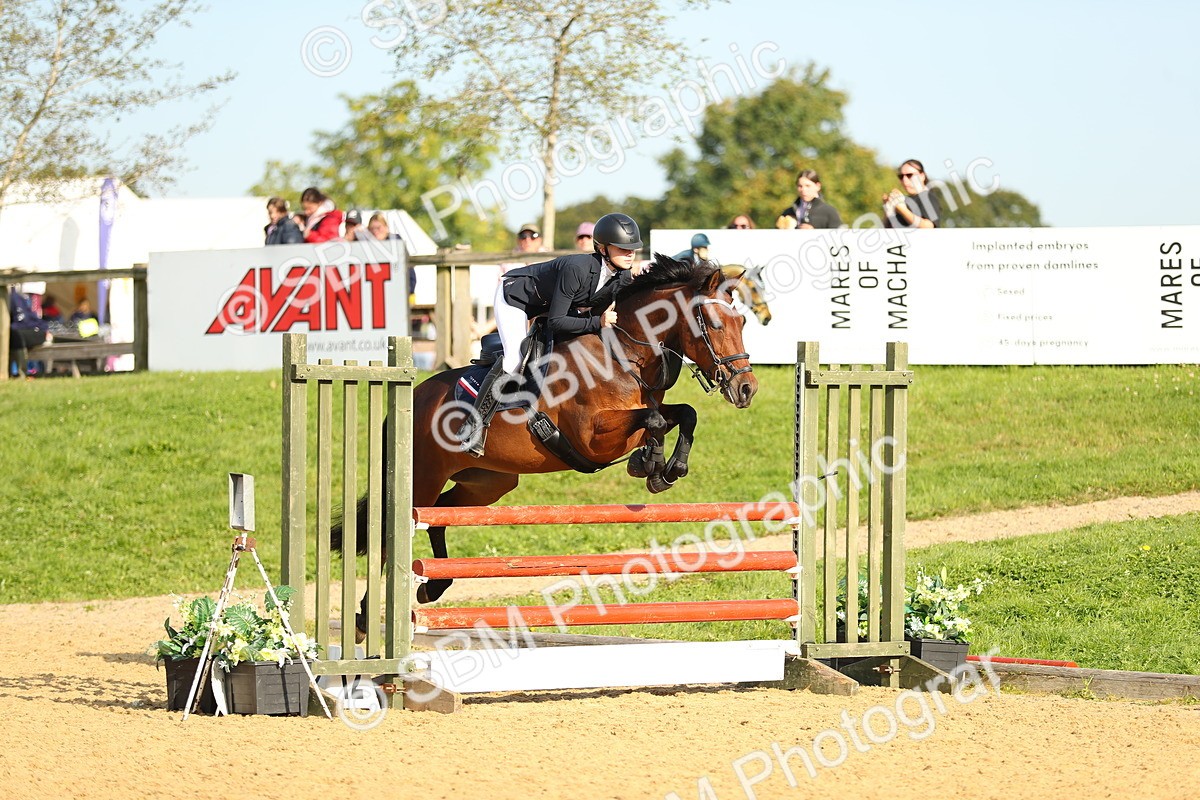 SBM_60297 - J41 - Grand Tour 95cm Championship