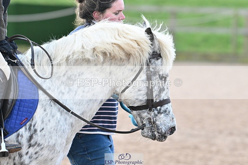 240127A-085209-00016 - SJ 40cm