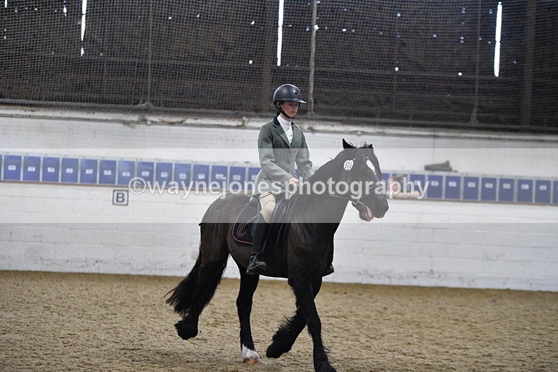 WJ5_7873 - Class 13 Ridden Part Breed