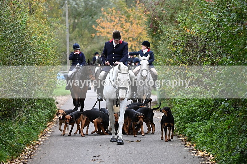 WJ6_8343 - Walk Home..