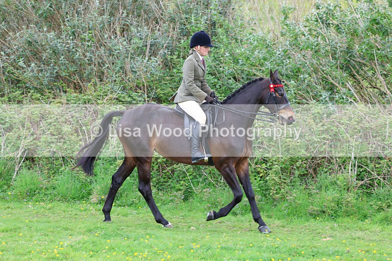 3E7A1945 - Class 10: Ridden Sports Horse