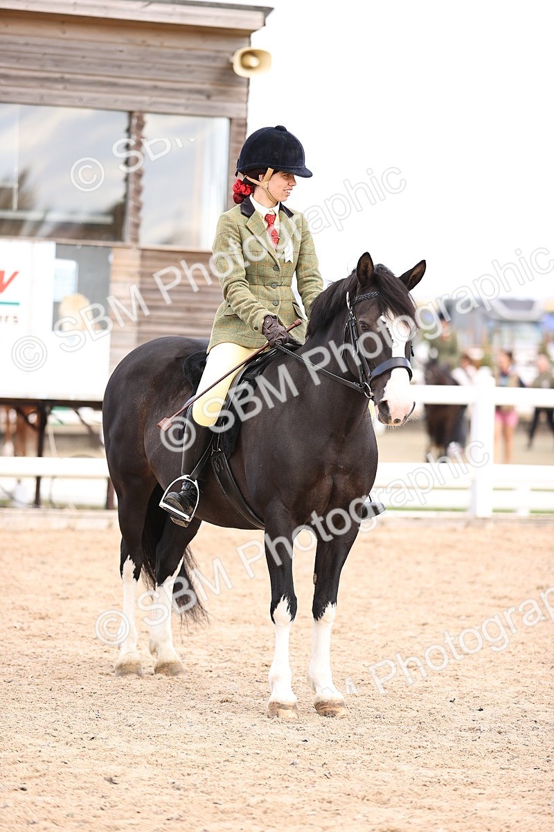 SBM_14192 - Class 415 - Horse-Pony judge would most like to take home (IH or Ridden)