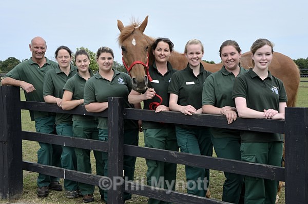 Cambridge equine hospital Cambridge university Photographer Cambridge UK professional annual report