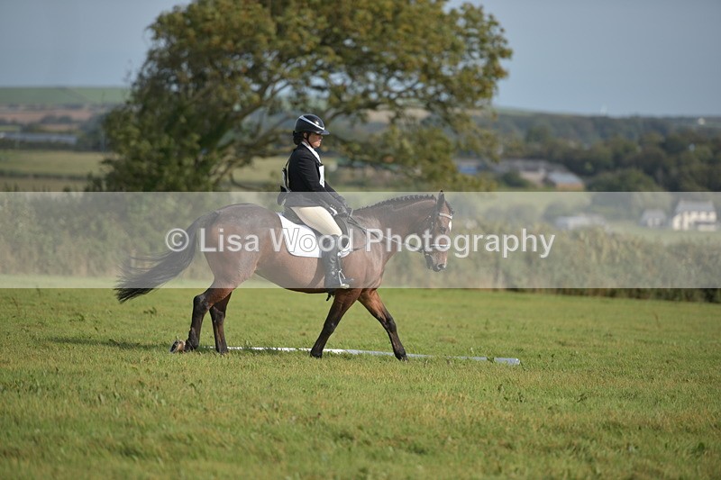RAY_7762 - Class 2B: Trekenning Open: Dressage